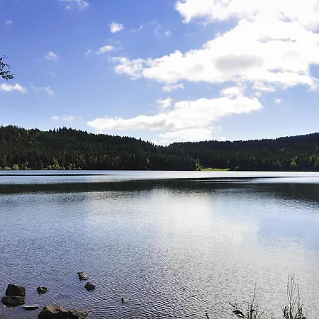 Ibis Budget En Velay Otel 2*